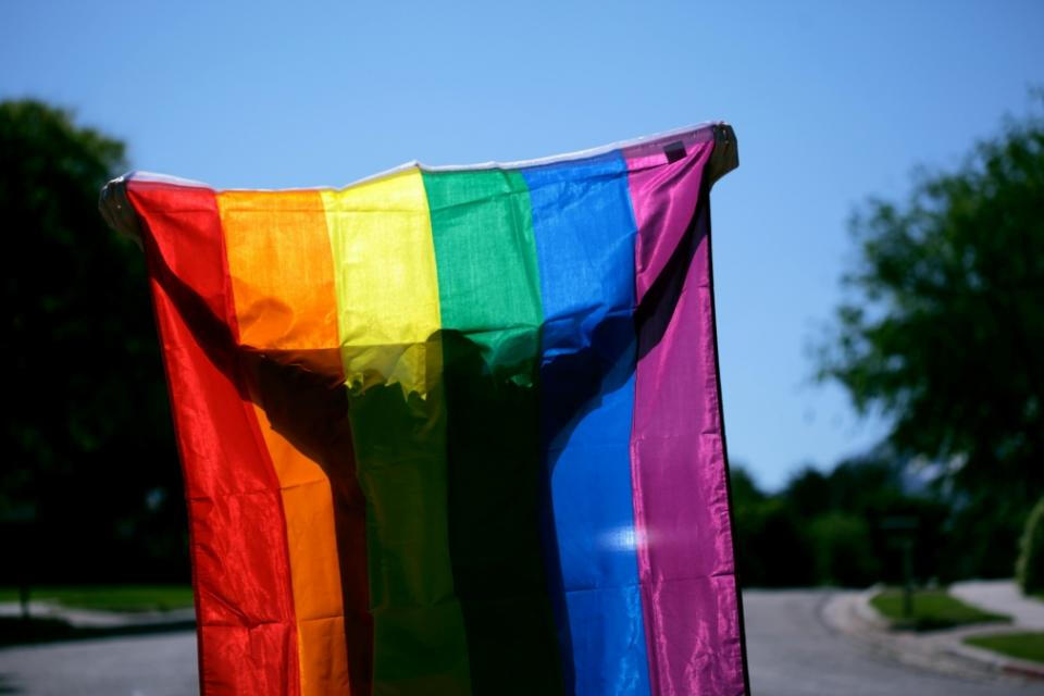 read that article here LGBTQ Veteran in WA state holds rainbow pride flag outside